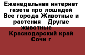 Еженедельная интернет - газета про лошадей - Все города Животные и растения » Другие животные   . Краснодарский край,Сочи г.